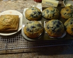 blueberry-muffins