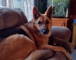 Weeco our pretty  girl all heart and so sweet and smart