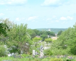 From the Hill