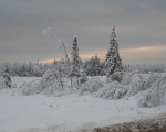 Winters Eve