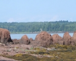 Beach Bumps