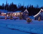 Christmas Lights