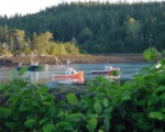Boats at Bay