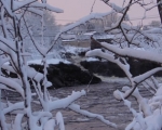 Winter Falls